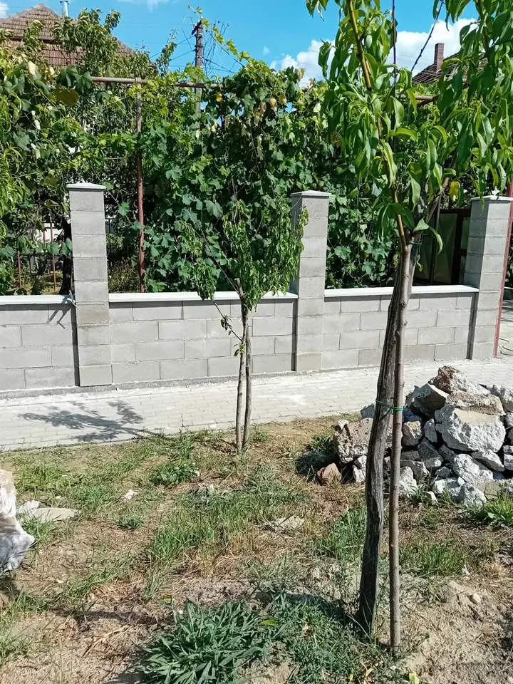 Gard jos din panouri de beton, cu stâlpi și capace, montat într-o grădină